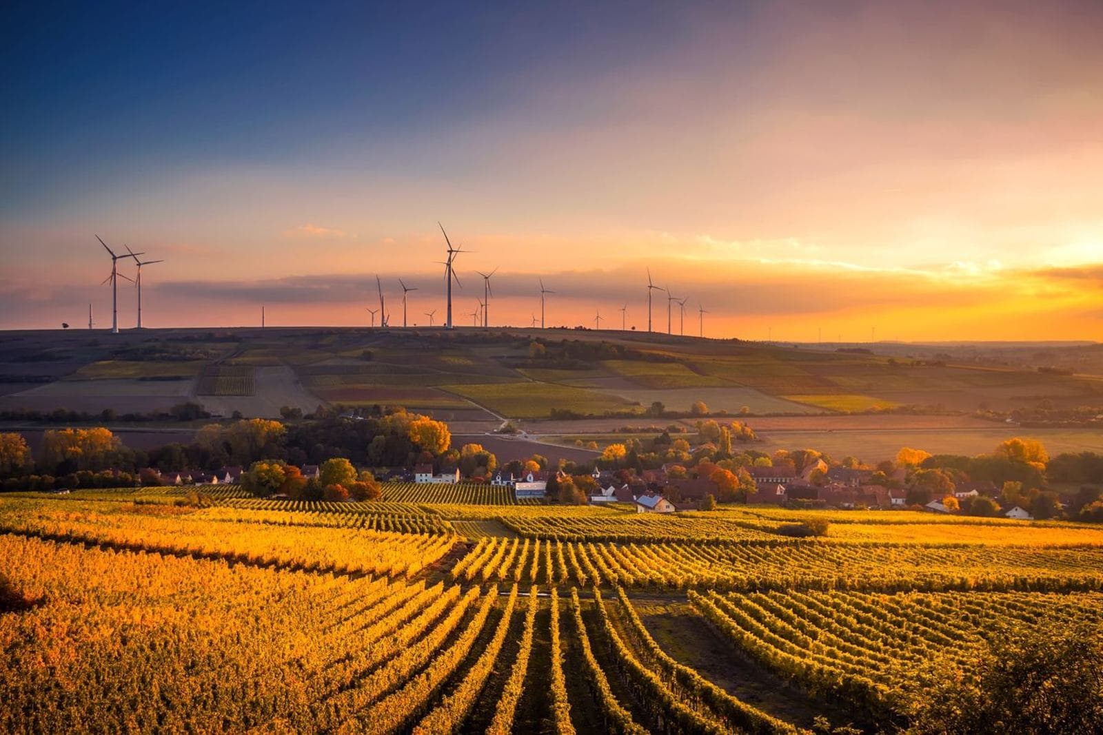 A cornfield or farmland in Iowa at sunrise or sunset